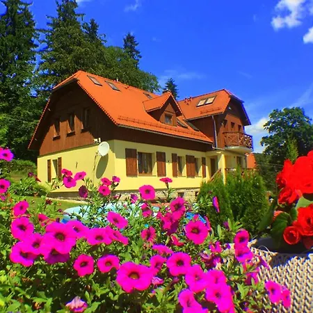 民宿 威拉艾科旅馆 *